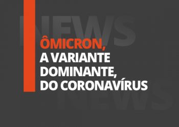 Cinza-topo-Renko-Recovered