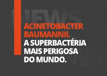 Cinza-topo-Renkosuperbacteria