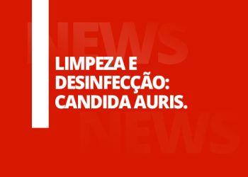 candida-auris-topo-Renko